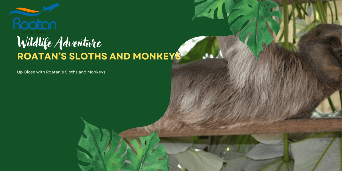Roatan Sloths and Monkeys
