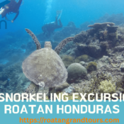 Best Snorkeling Excursions in Roatan Honduras