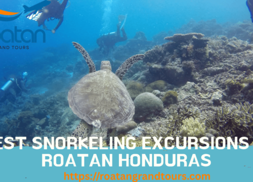 Best Snorkeling Excursions in Roatan Honduras: Your Ultimate Guide to Caribbean Underwater Adventures