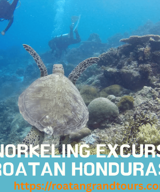 Best Snorkeling Excursions in Roatan Honduras: Your Ultimate Guide to Caribbean Underwater Adventures