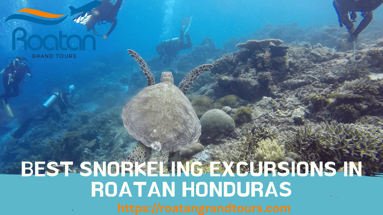 Best Snorkeling Excursions in Roatan Honduras