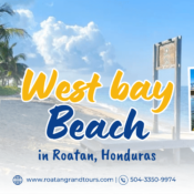 Why West Bay Beach in Roatan, Honduras Should Be Your Next Tropical Getaway