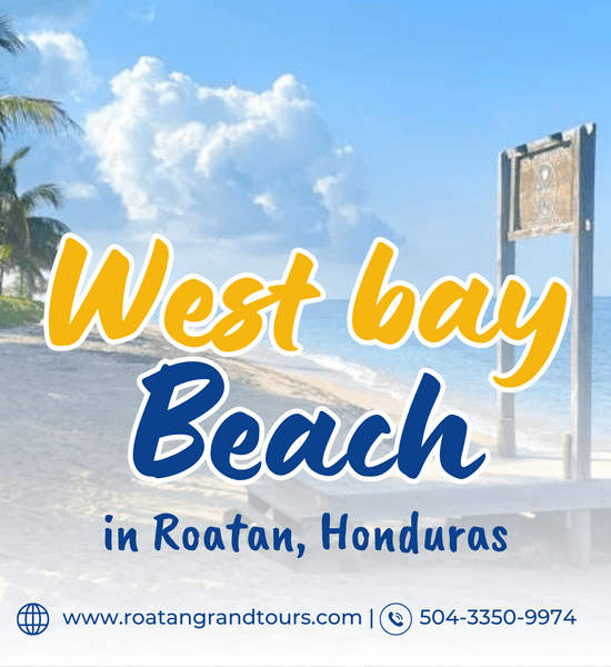 Why West Bay Beach in Roatan, Honduras Should Be Your Next Tropical Getaway