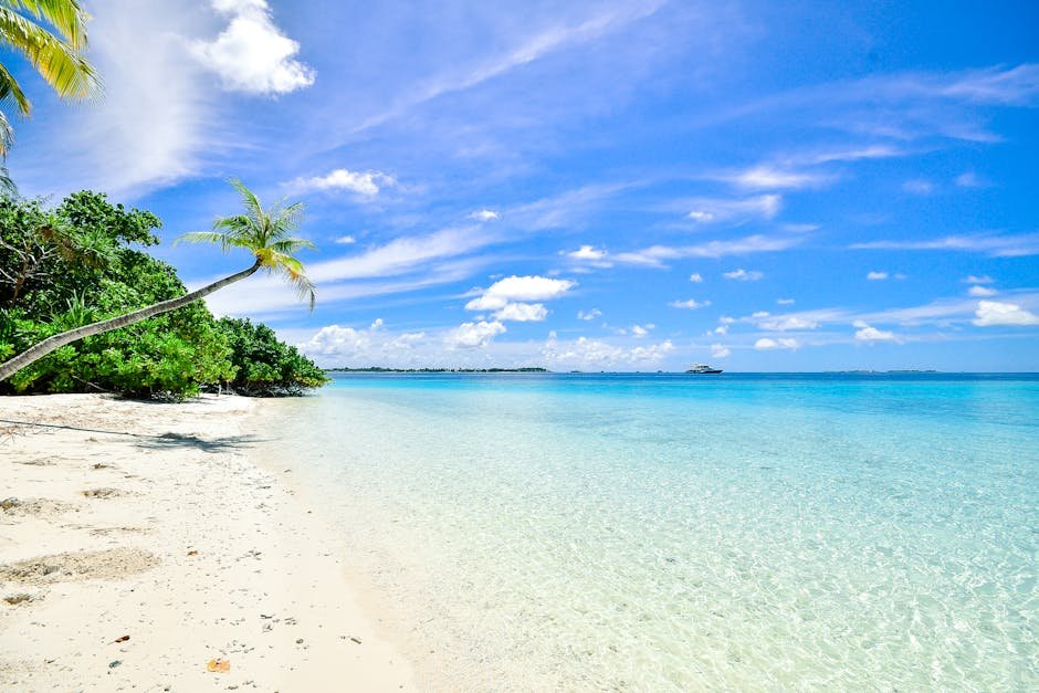 Why Coral Sands Resort Should Be Your First Choice for a Roatan, Honduras Vacation. MAIN keyword is "coral sands Roatan Honduras"