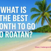 Best Month to Visit Roatan