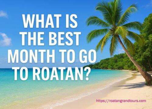 What’s the Best Month to Visit Roatan? Complete Planning Guide