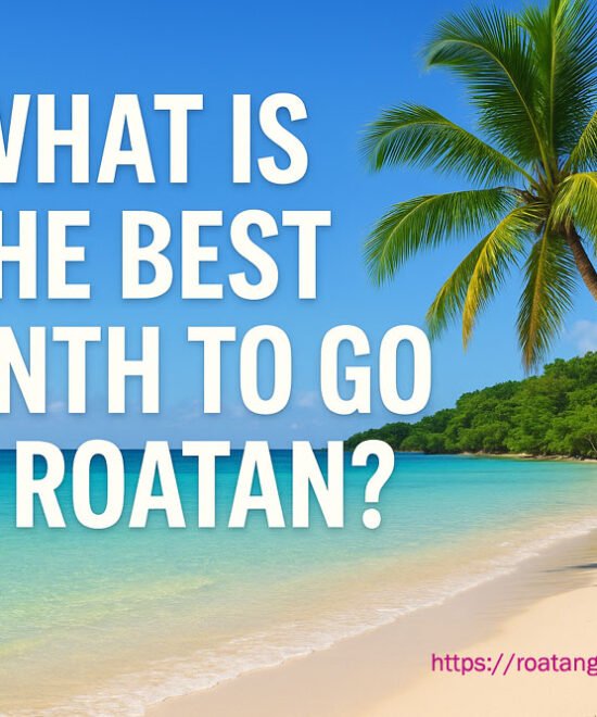 What’s the Best Month to Visit Roatan? Complete Planning Guide