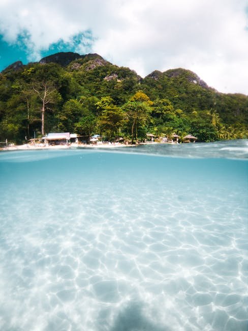 generate complete blog for this title "West Bay Roatan Activities Guide: Beaches, Diving & Island Adventures". add this keyword in blog "things to do in west bay roatan "