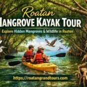 Roatan Mangrove Kayak Tour