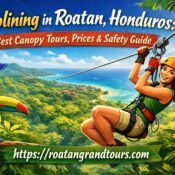 Ziplining in Roatan, Honduras